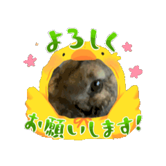 [LINEスタンプ] 5人林