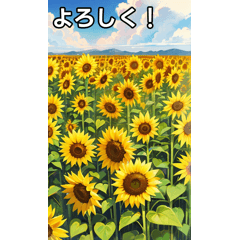 [LINEスタンプ] 向日葵コレクション