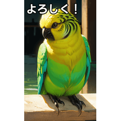 [LINEスタンプ] セキセイインココレクション