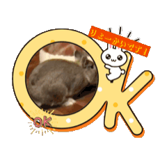 [LINEスタンプ] うごく！我が家のアメくんスタンプ2