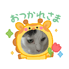 [LINEスタンプ] 病みネコ2挨拶