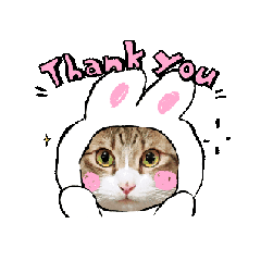 [LINEスタンプ] ふみかのゆきちゃん