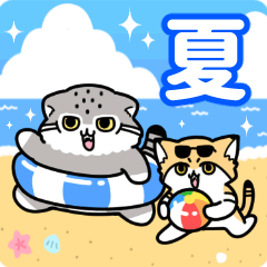 [LINEスタンプ] ゆるっとマヌルちゃん20 夏