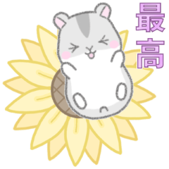 [LINEスタンプ] 毎日使える☆ハムスター