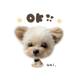 [LINEスタンプ] うにちゃん♡デフォルメ