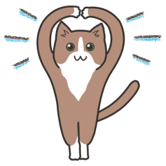 [LINEスタンプ] 40匹のねこの、みんなでリアクション！