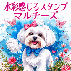 [LINEスタンプ] 水彩感じるマルチーズスタンプ