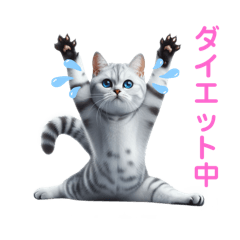 [LINEスタンプ] にゃんずの日常にゃん