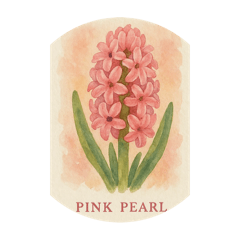 [LINEスタンプ] ヒヤシンスの花シリーズ:Hyacinth flowers