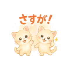 [LINEスタンプ] ふわふわ猫タイム