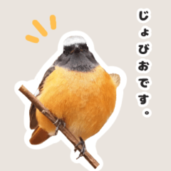 [LINEスタンプ] じょびすた