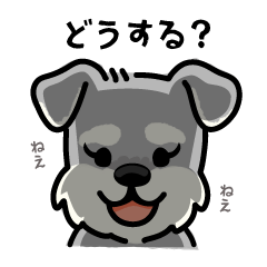 [LINEスタンプ] 友だちとのゆるっと会話スタンプ