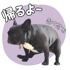 [LINEスタンプ] フレブルの使えるハングル1