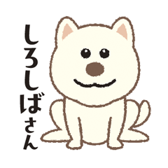 [LINEスタンプ] しばいぬさん（白）