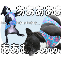 [LINEスタンプ] フレブルの使えるハングル2