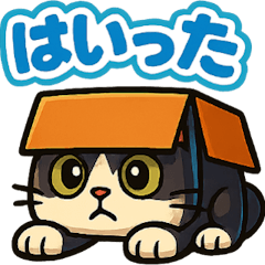 [LINEスタンプ] 四角いネコのぶんた