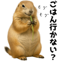 [LINEスタンプ] プレーリードッグな日々