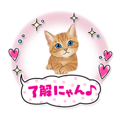 [LINEスタンプ] 子猫のライチくん2