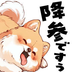 [LINEスタンプ] ペロっとポメラニアン