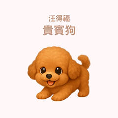 [LINEスタンプ] ワンだふる｜トイプードル【台湾語】