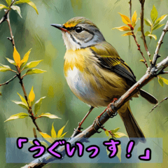 [LINEスタンプ] ダジャレ鳥スタンプを作ったよ