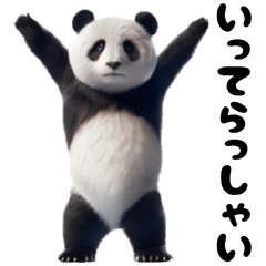 [LINEスタンプ] 踊る！実写パンダ