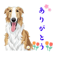 [LINEスタンプ] 可愛いボルゾイのひとことスタンプ