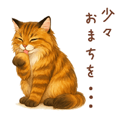 [LINEスタンプ] メインクーンかソマリさん1