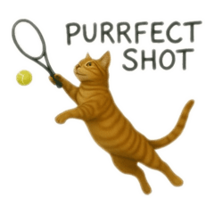 [LINEスタンプ] スポーツ好きのネコら。特にテニス。