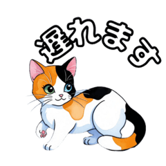 [LINEスタンプ] 可愛い三毛ネコの日常使いスタンプ