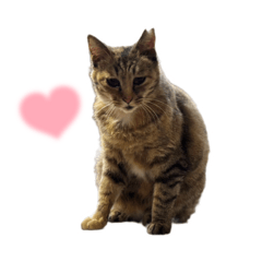 [LINEスタンプ] 末広みーのすたんぷ