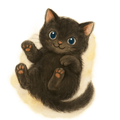 [LINEスタンプ] 黒猫LaLaの毎日つかえるスタンプ