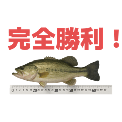 [LINEスタンプ] バス釣りをやめない人達のスタンプ
