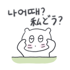 [LINEスタンプ] ベベニャンが来ました、(韓国語-日本語)3