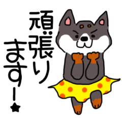 [LINEスタンプ] 柴犬めいちゃんのニコニコスタンプ