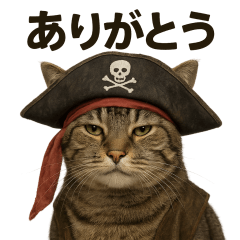 [LINEスタンプ] シュールな海賊の猫のスタンプ 002