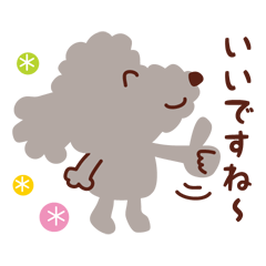 [LINEスタンプ] トイプードル色々_ハッピーな毎日