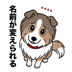 [LINEスタンプ] 名前入りシェルティセーブル