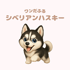 [LINEスタンプ] ワンだふる｜シベリアンハスキー