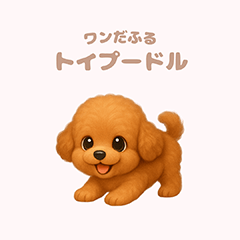 [LINEスタンプ] ワンだふる｜トイプードル
