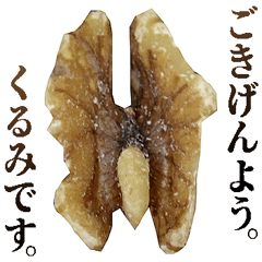 [LINEスタンプ] 年中使える敬語くるみ