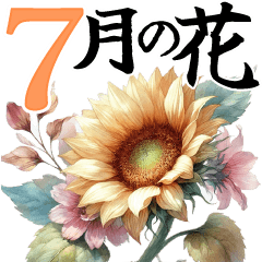 [LINEスタンプ] 7月 夏の花 大きくて見やすい挨拶スタンプ