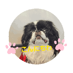 [LINEスタンプ] ふーちゃんPart6