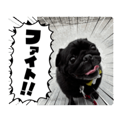 [LINEスタンプ] パグのゲンです