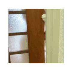 [LINEスタンプ] 動くHARORI②
