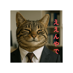[LINEスタンプ] 全肯定ヌコ
