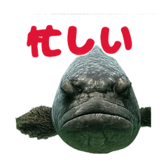 [LINEスタンプ] 大きな魚
