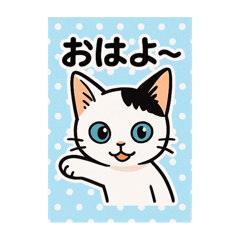 [LINEスタンプ] 子猫のおもち