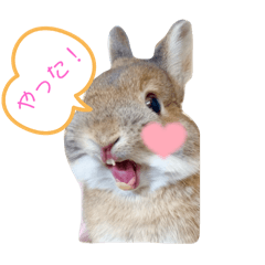 [LINEスタンプ] コンパクトうさぎ⭐︎もこ