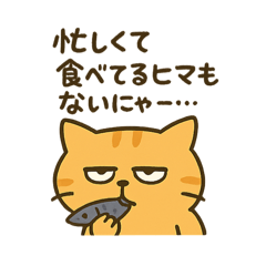 [LINEスタンプ] だってねこだもの